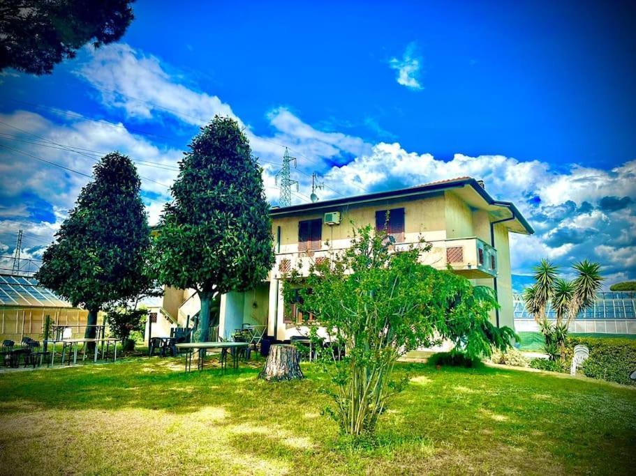 Le 2 Magnolie, Holiday home Viareggio
